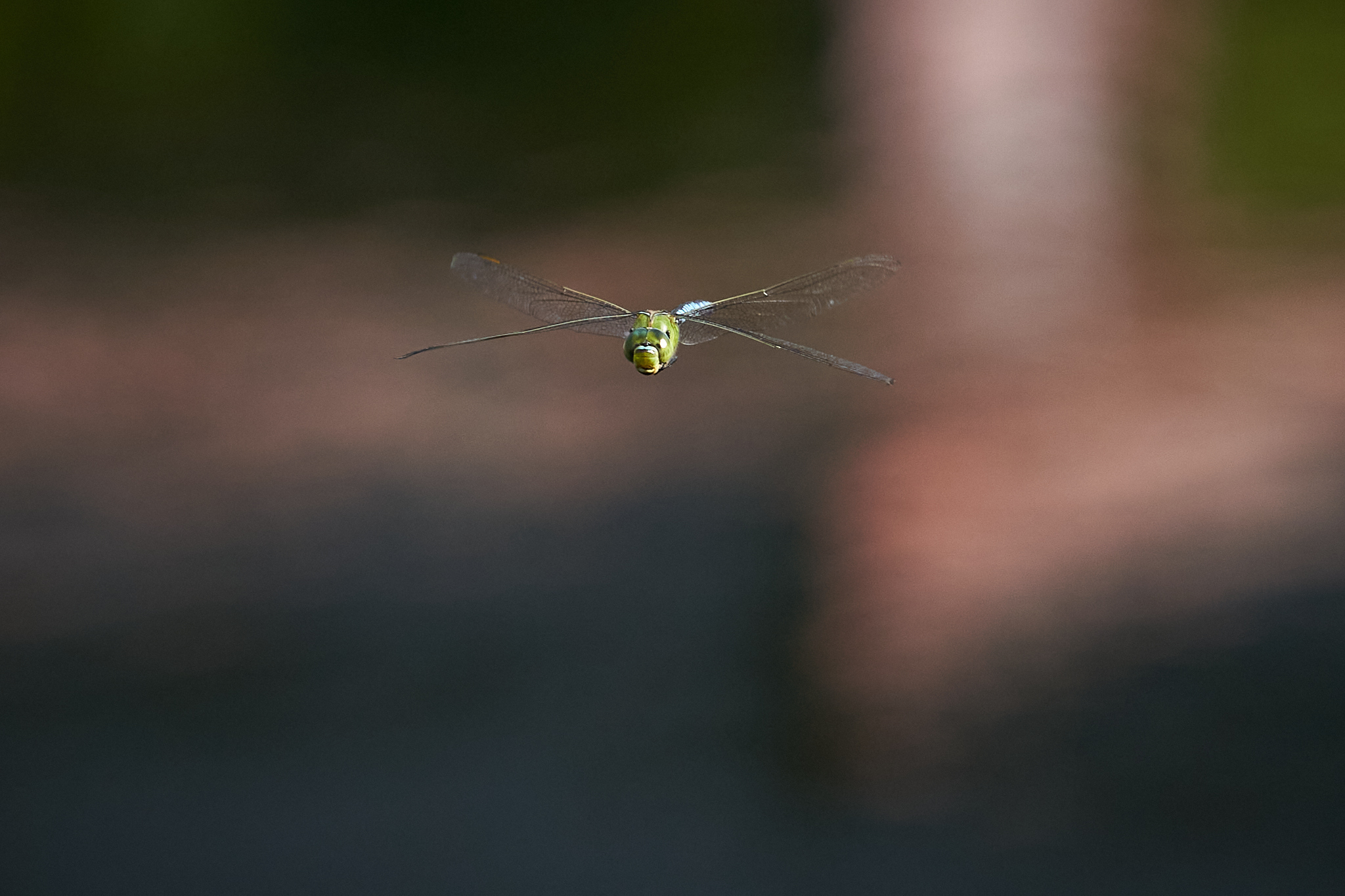 Landschaftspark Nord 0515